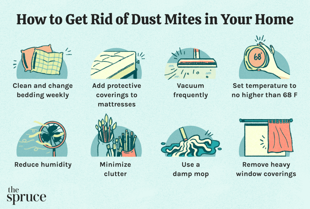 Get Rid of Dust Mites
