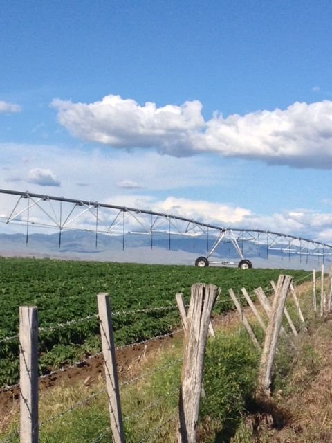 Idaho Endowment land