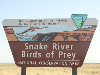 Snake River Birds of Prey Area Image