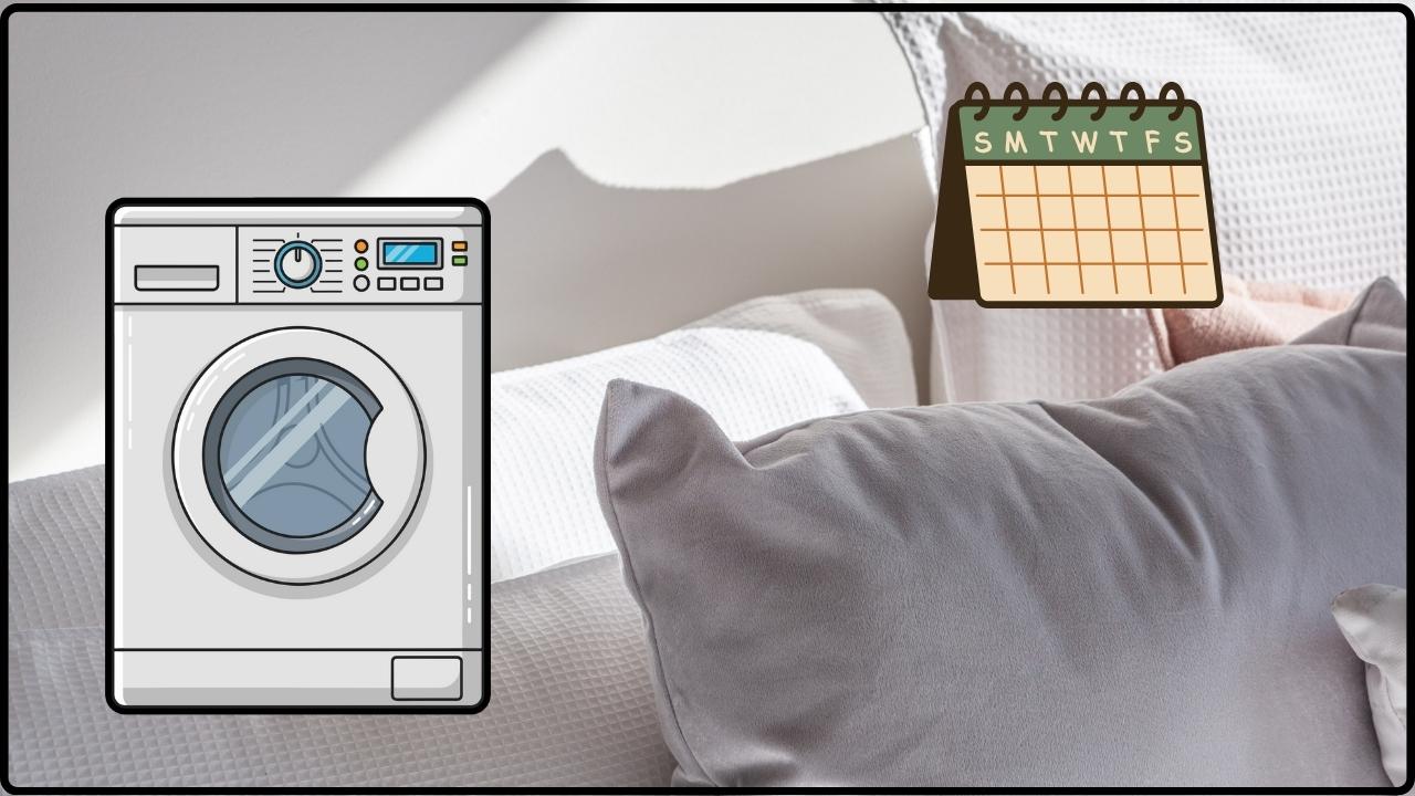 the Pillow-Washing Schedule You Should Be Following